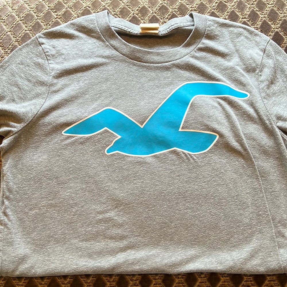 Grey Hollister T-shirt